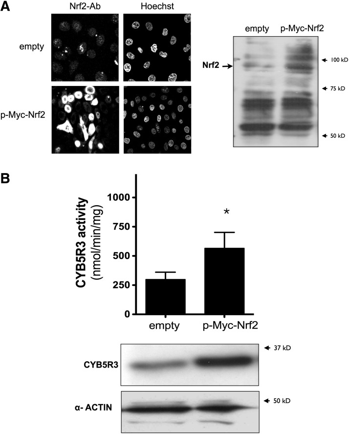 FIG. 11.