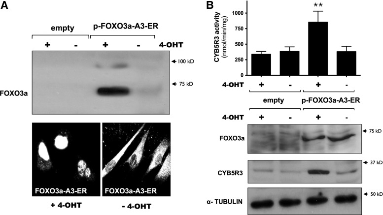 FIG. 10.