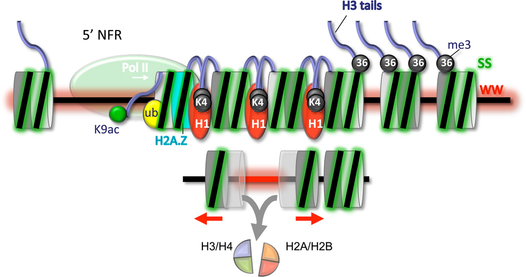 Figure 7