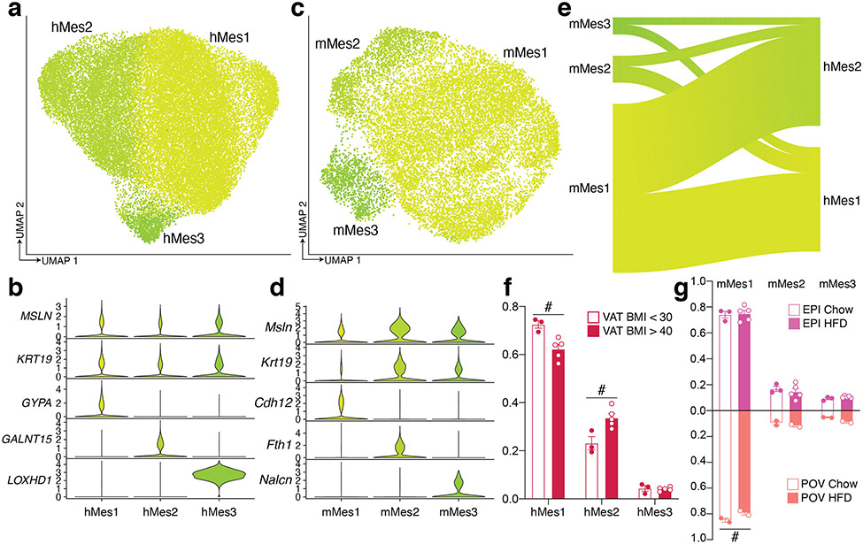 Extended Data Fig. 6.