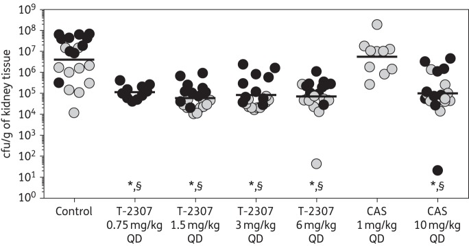 Figure 1.