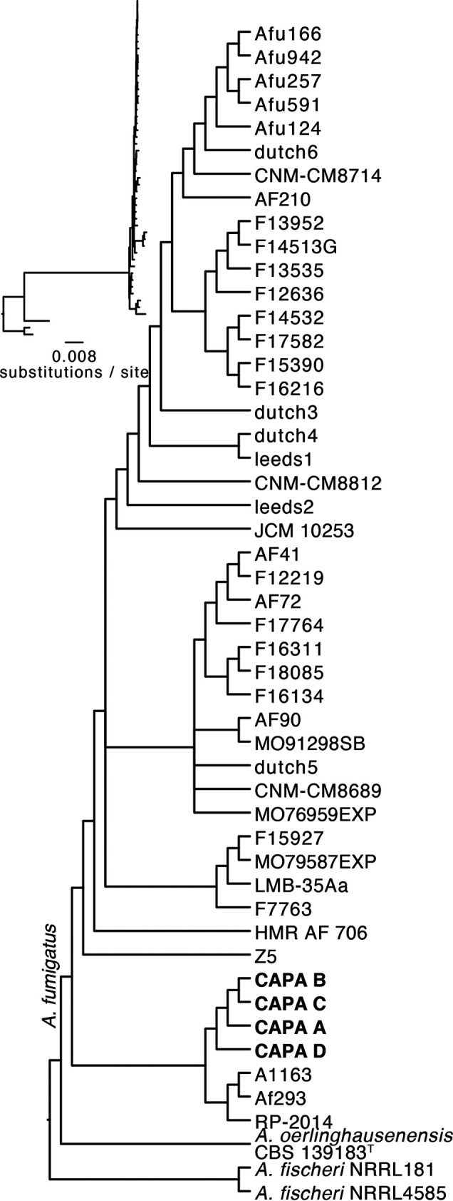 FIG 2