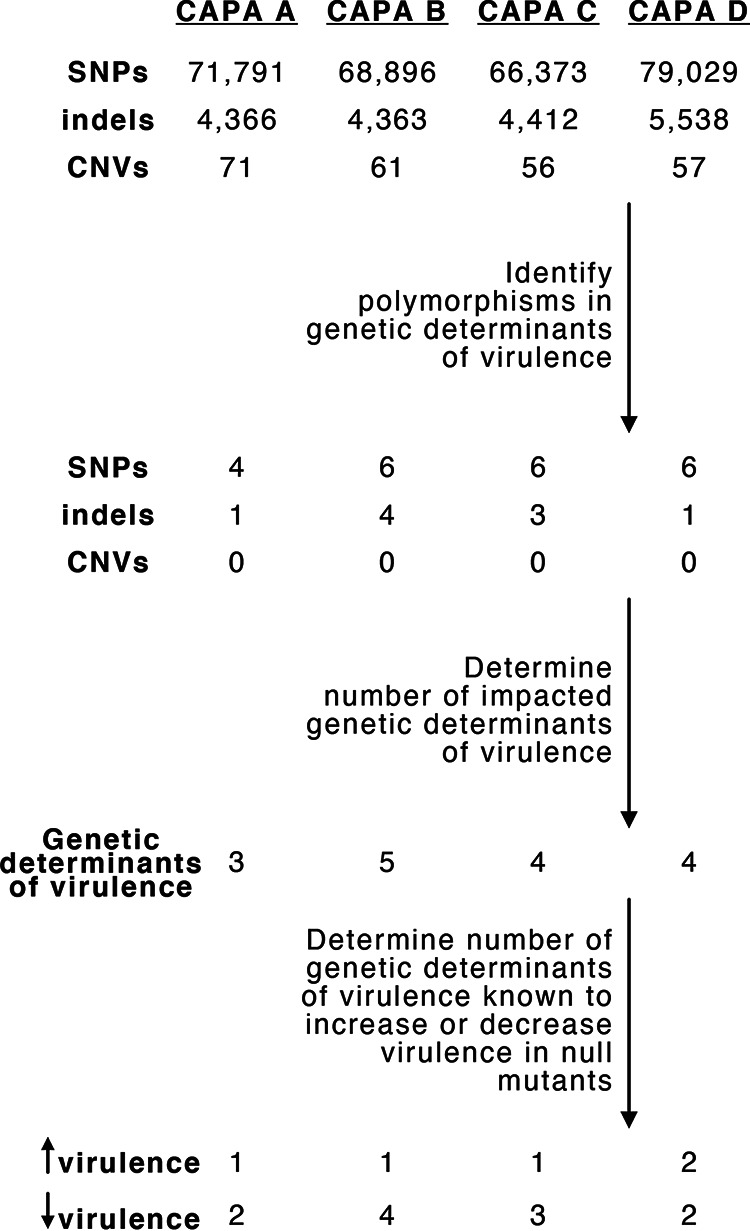 FIG 3