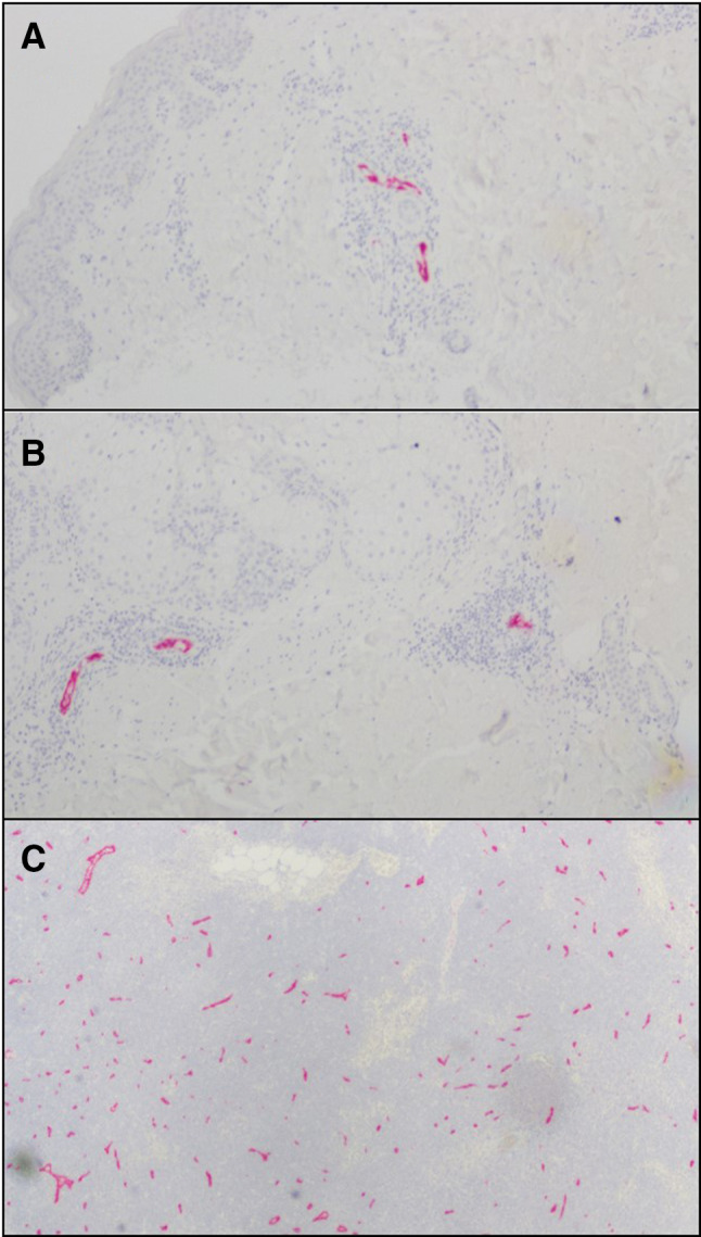 Fig. 5