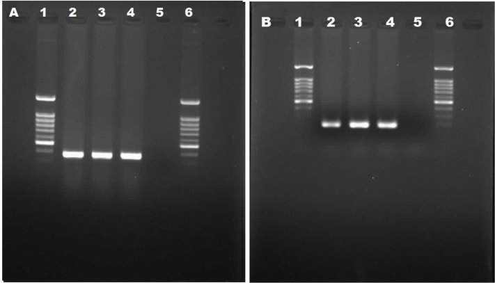 Fig. 2: