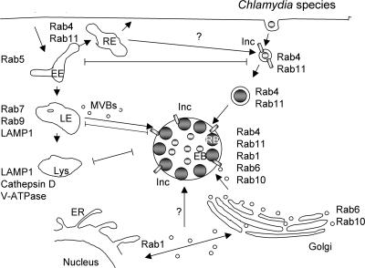 FIG. 5.