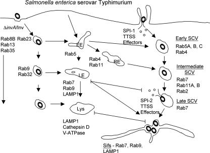 FIG. 4.