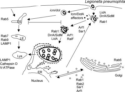 FIG. 6.