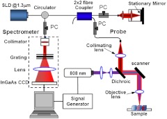 Fig. 2