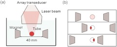 Fig. 3