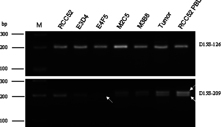 Fig. 7