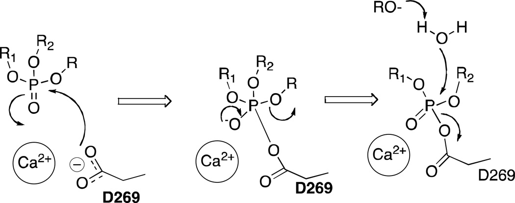 Scheme 2