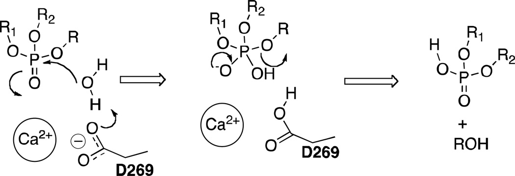 Scheme 3