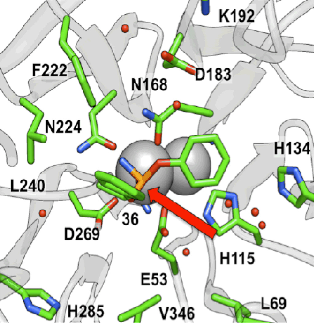 Figure 10