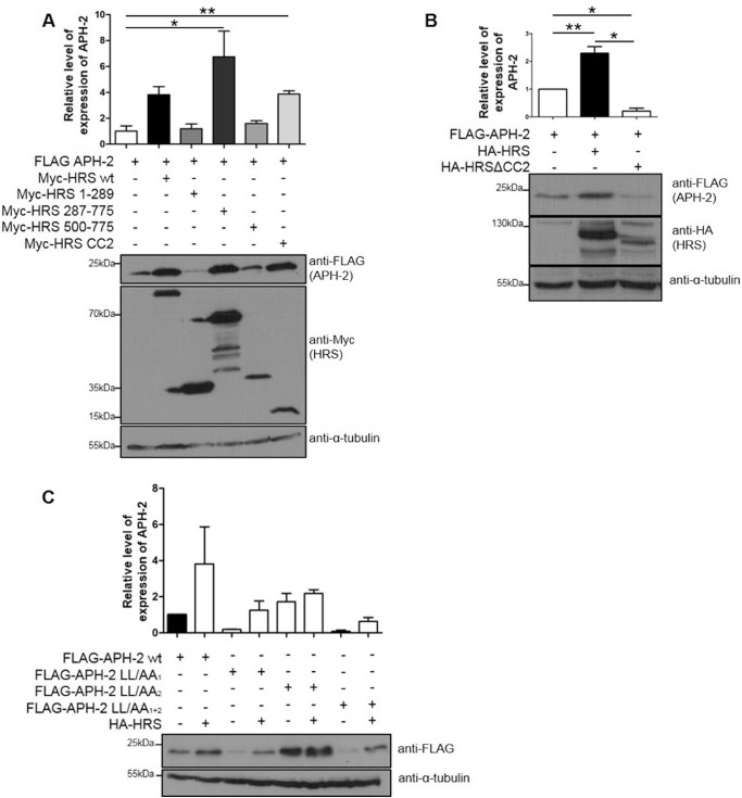 FIG 6