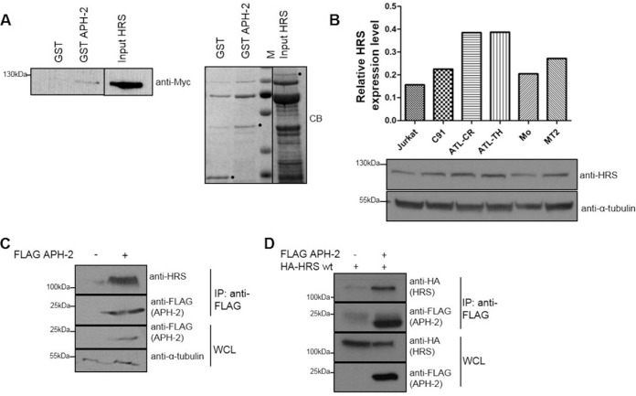 FIG 1