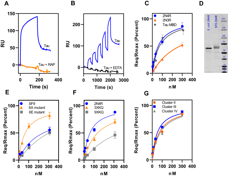 Figure 3