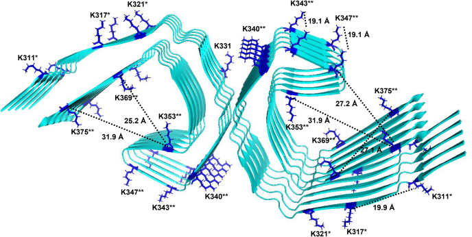 Figure 10