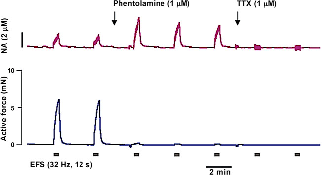 FIGURE 13