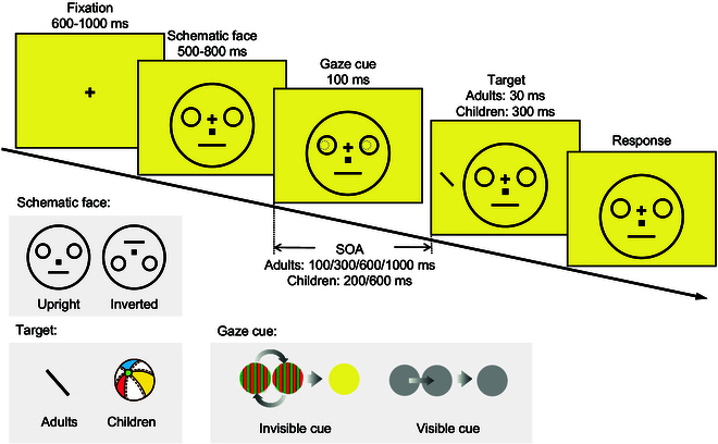 Fig. 1.