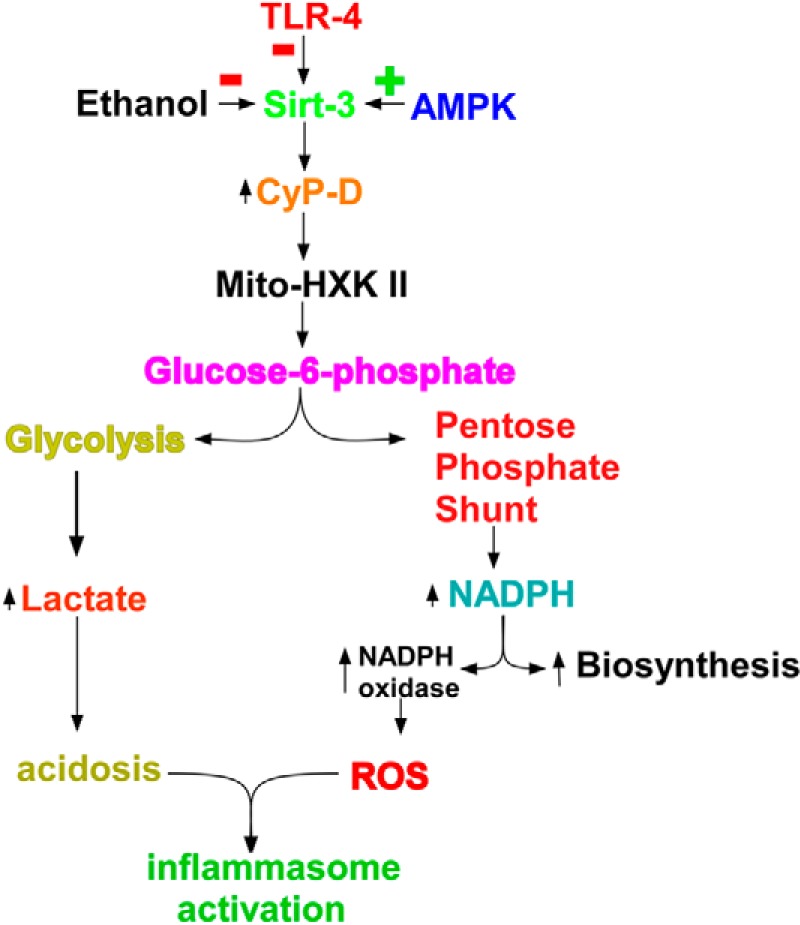 FIGURE 7.