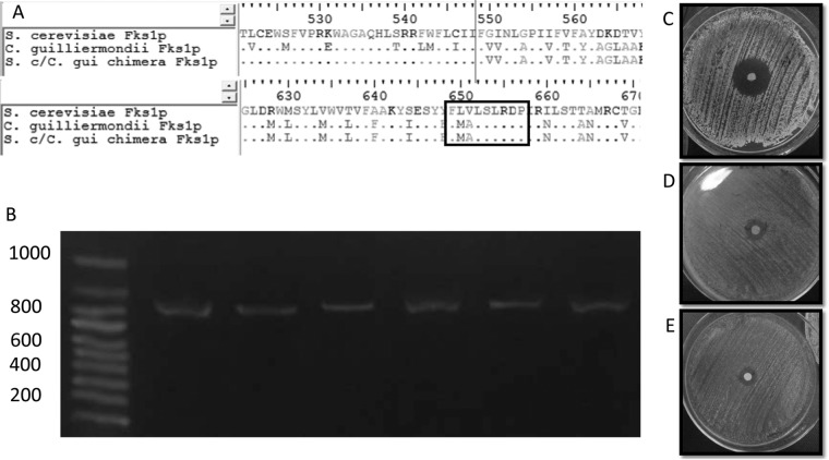 FIG 1