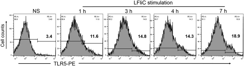 Figure 4