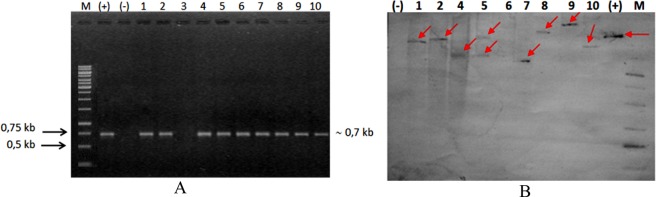 Figure 2