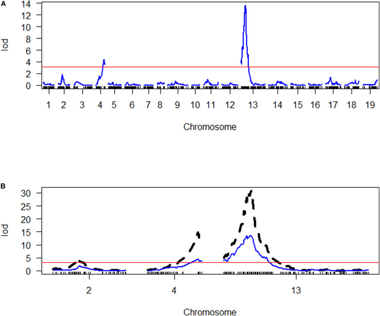 FIGURE 4