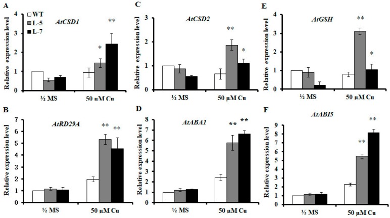 Figure 6