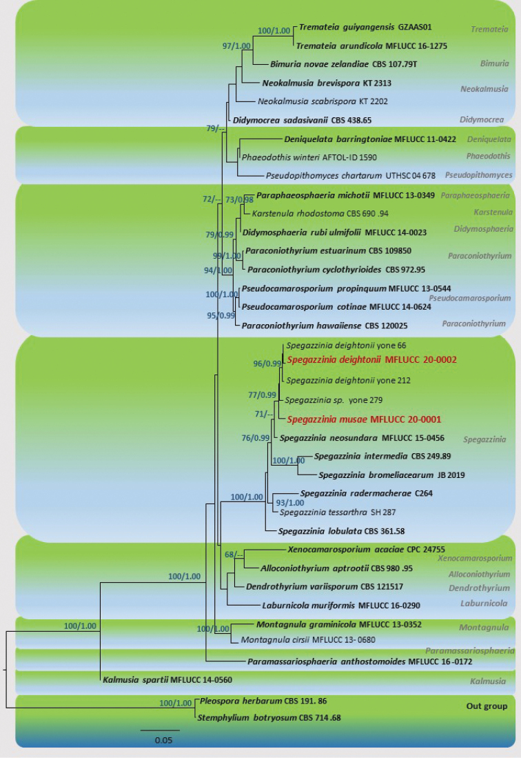 Figure 1.