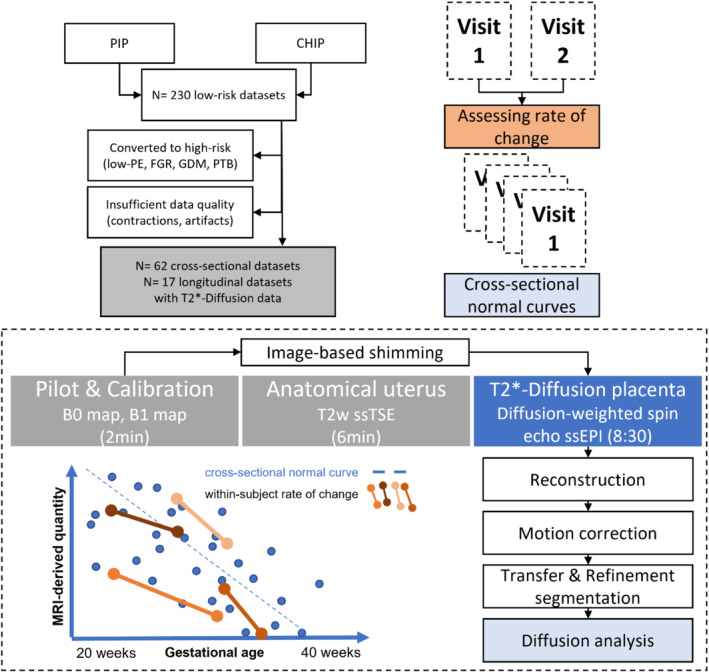 MRM-29665-FIG-0001-c