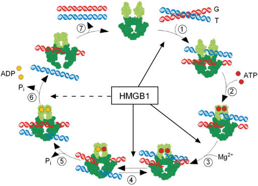 Figure 10.