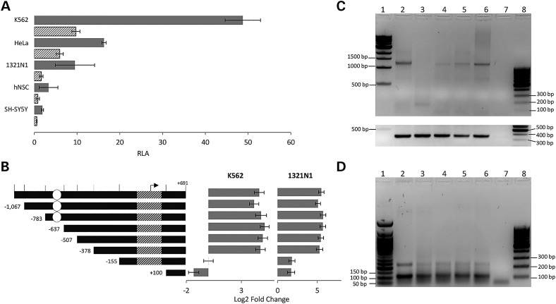 Figure 3.