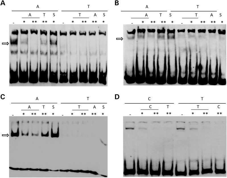 Figure 2.