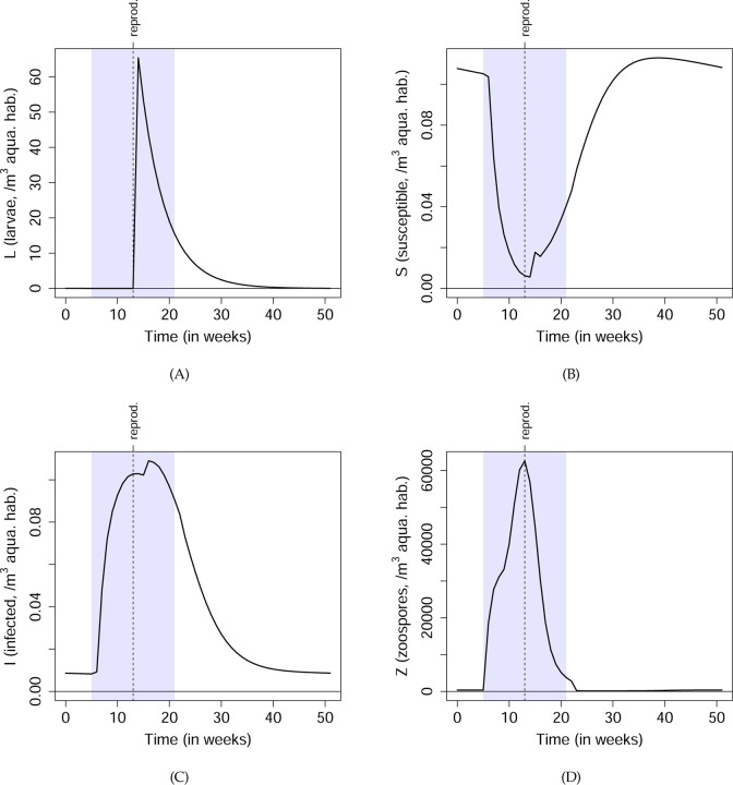 Figure 5: