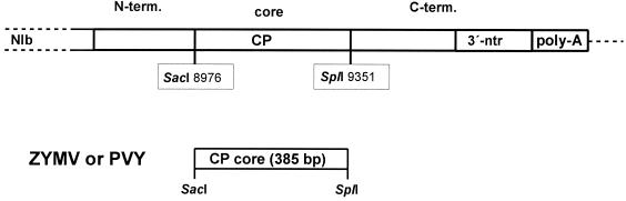 FIG. 1