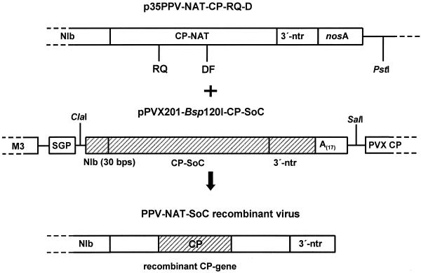 FIG. 4