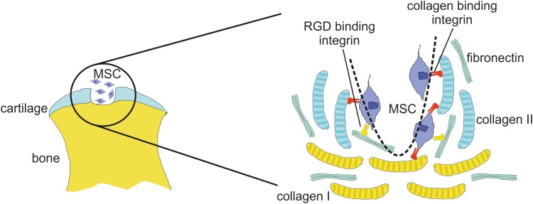 FIG. 6.