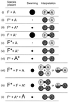 FIG. 8