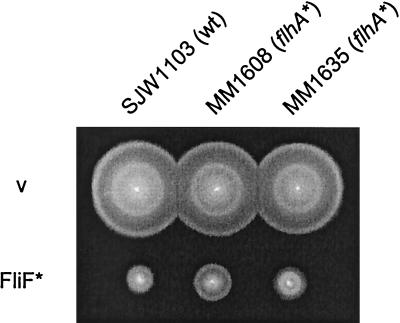 FIG. 3