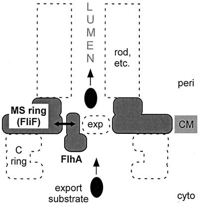 FIG. 6