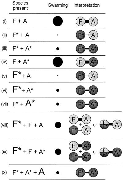 FIG. 8