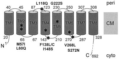 FIG. 7