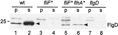 FIG. 5