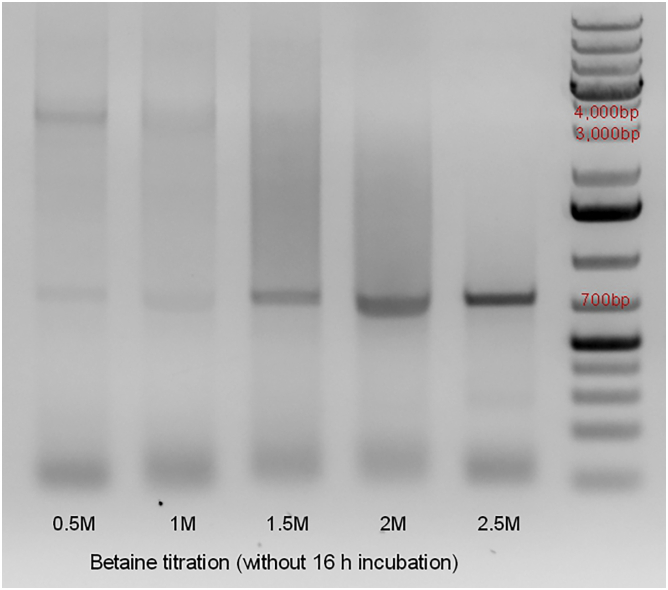 Figure 4