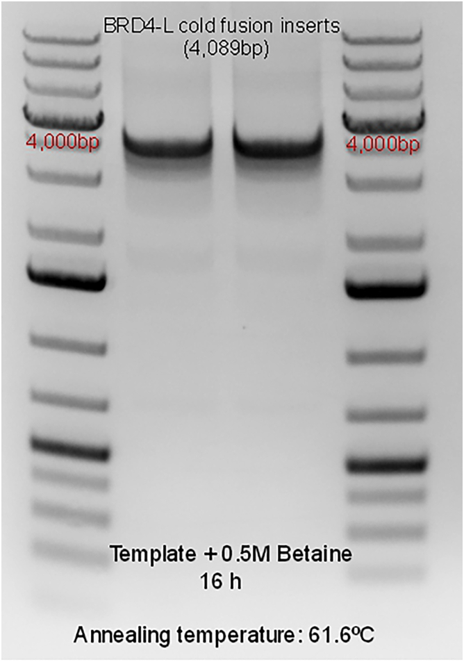 Figure 5