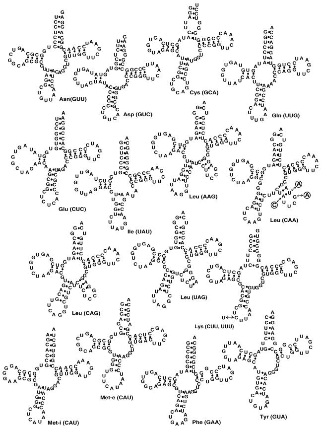 FIG. 2.