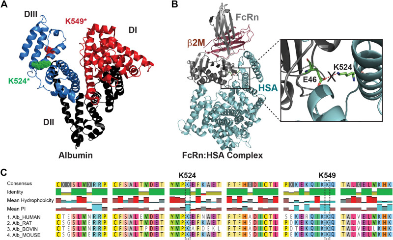 Figure 10.