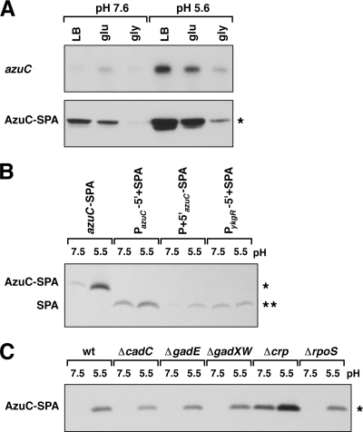 FIG. 5.